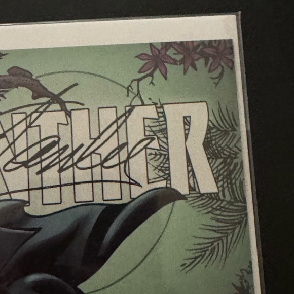 Black panther marvel - Picture 5 of 14